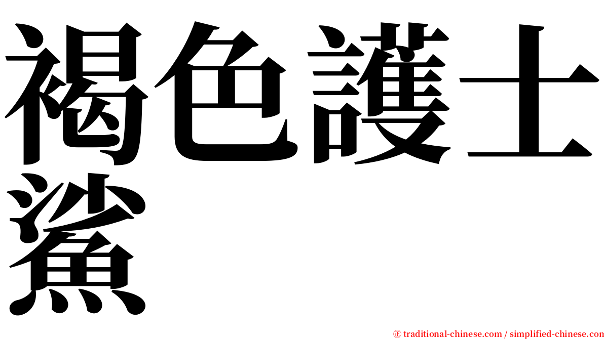 褐色護士鯊 serif font