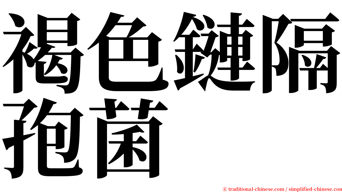 褐色鏈隔孢菌 serif font