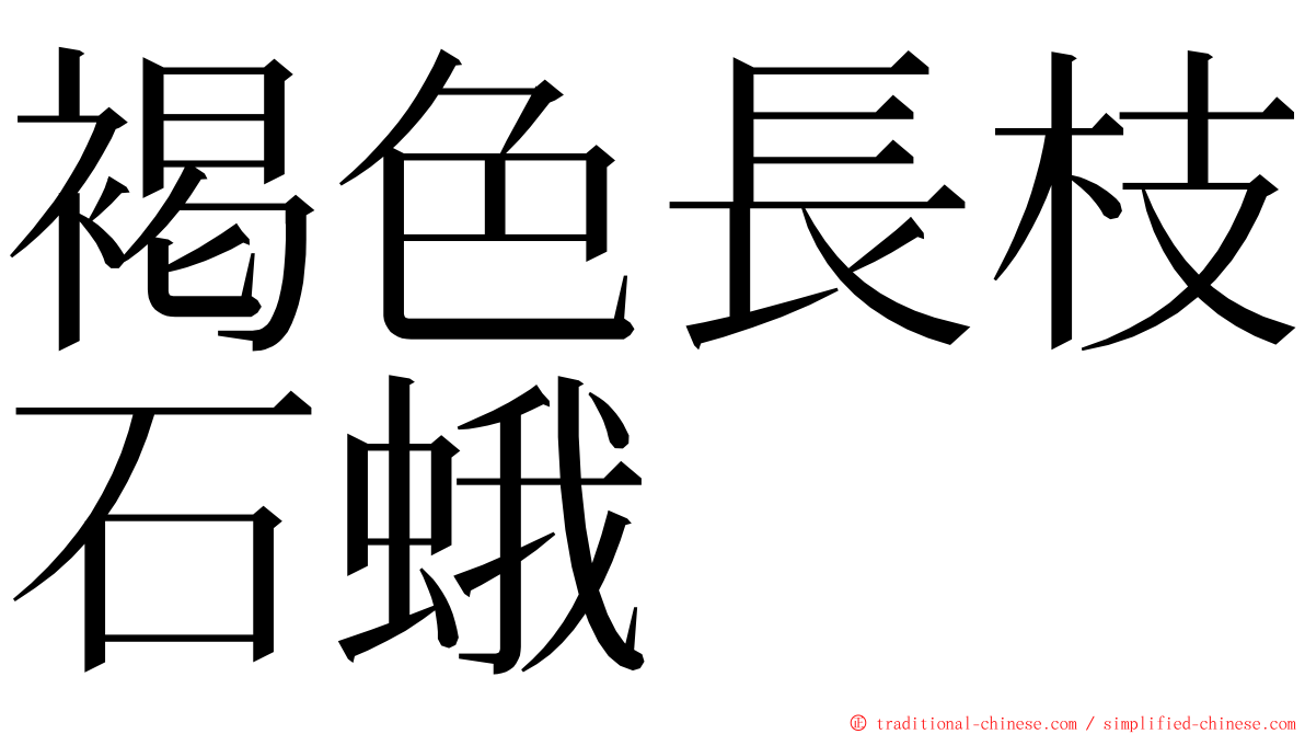 褐色長枝石蛾 ming font