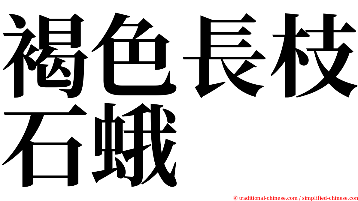 褐色長枝石蛾 serif font