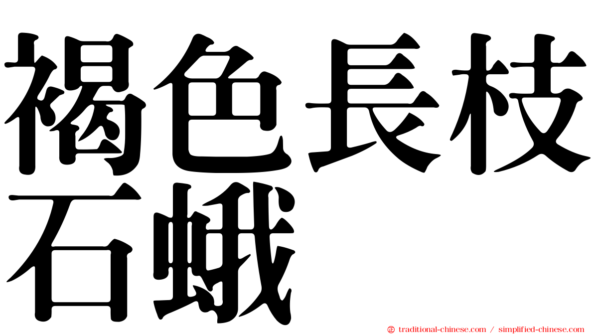 褐色長枝石蛾