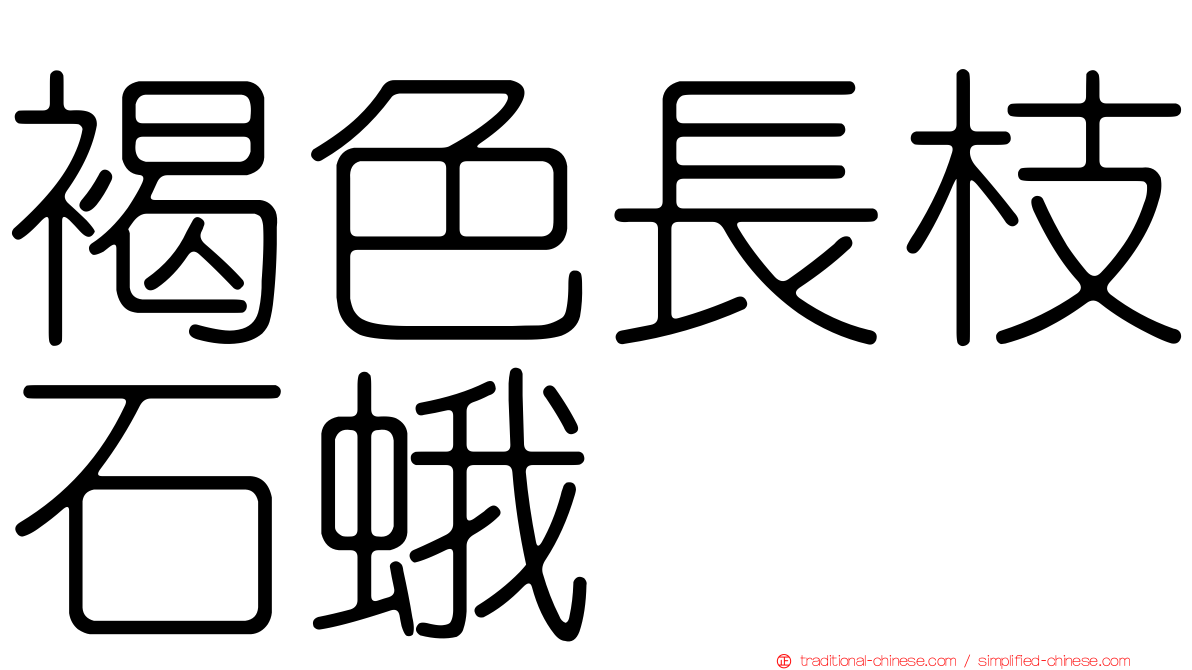 褐色長枝石蛾