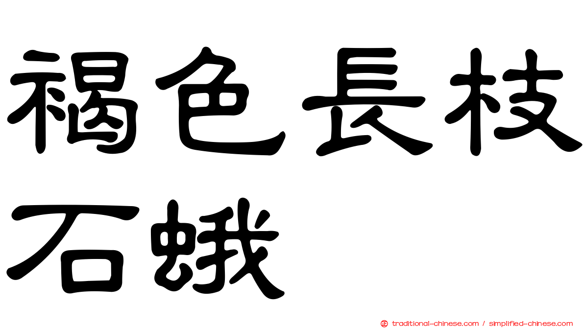 褐色長枝石蛾