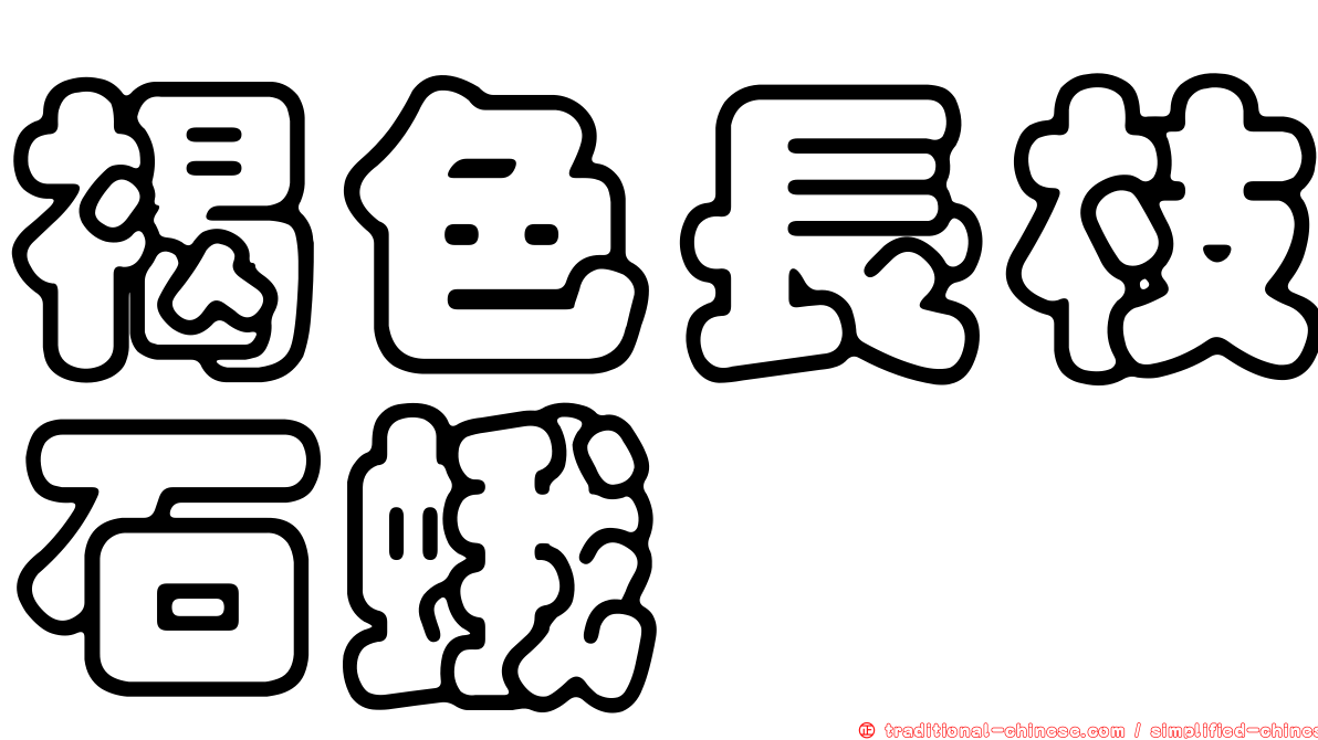 褐色長枝石蛾