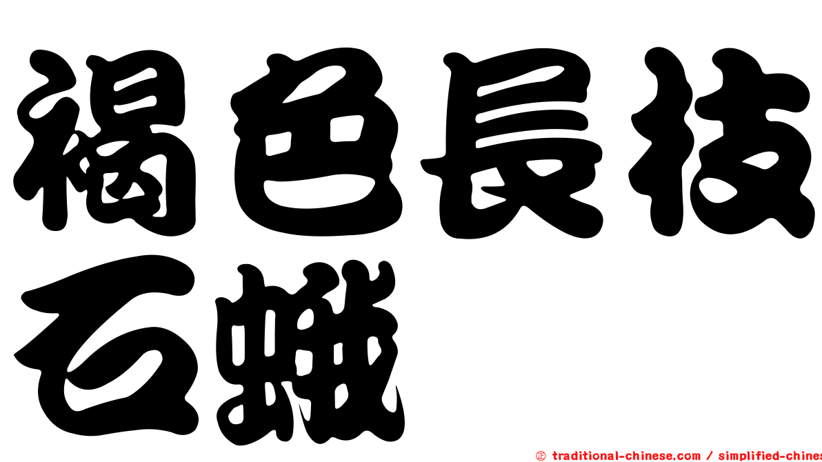 褐色長枝石蛾