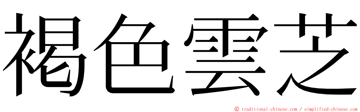 褐色雲芝 ming font