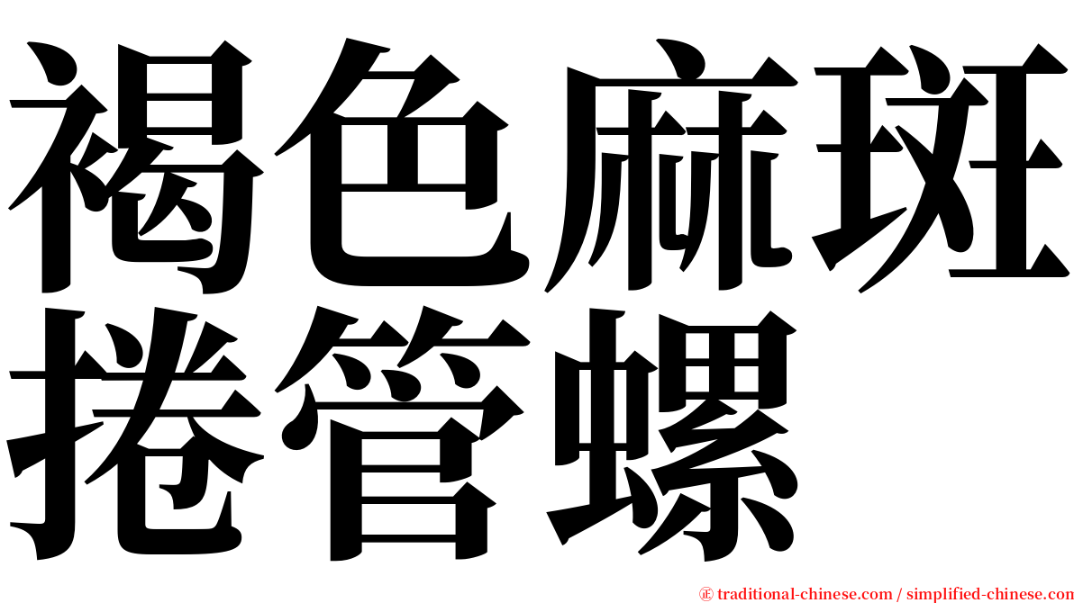 褐色麻斑捲管螺 serif font