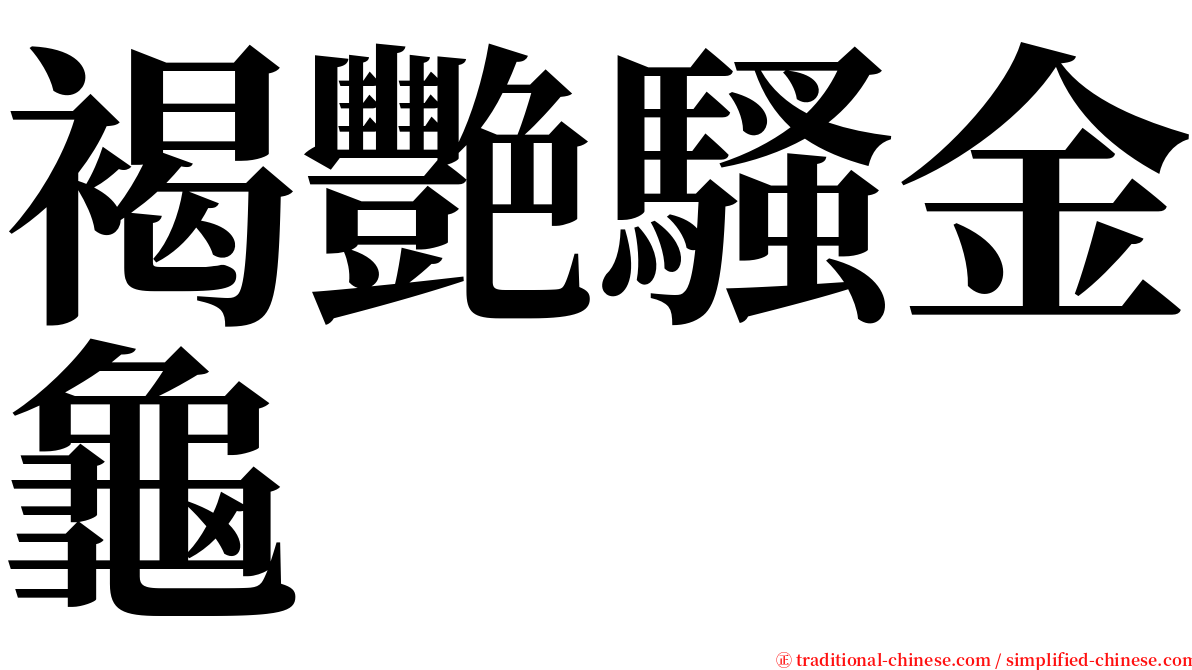 褐艷騷金龜 serif font