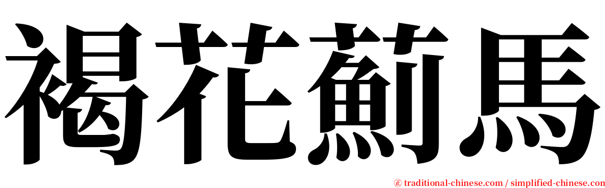 褐花薊馬 serif font