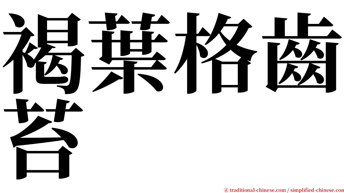 褐葉格齒苔 serif font