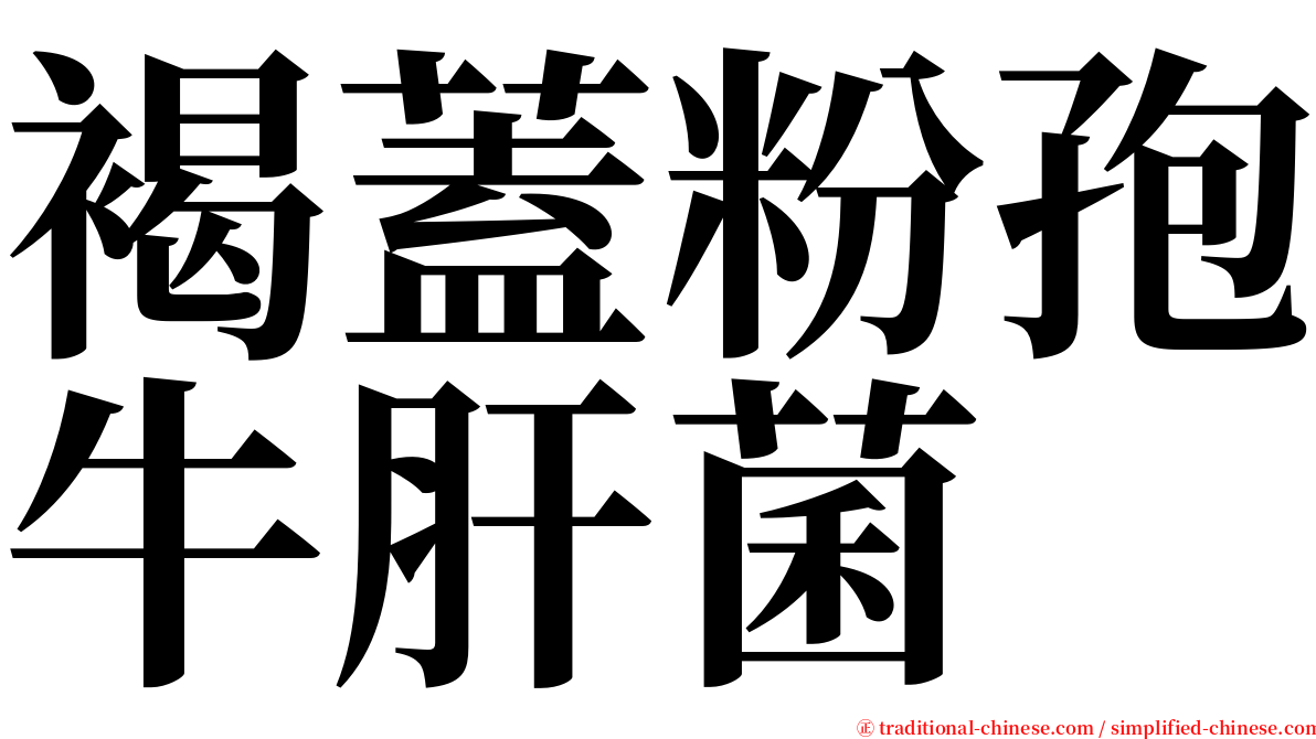 褐蓋粉孢牛肝菌 serif font