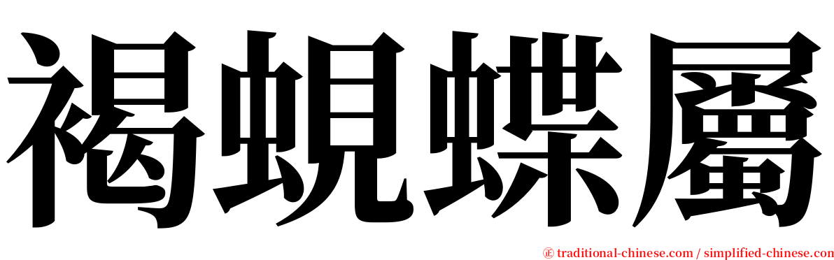 褐蜆蝶屬 serif font