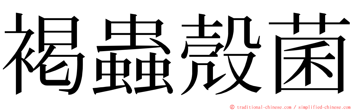 褐蟲殼菌 ming font