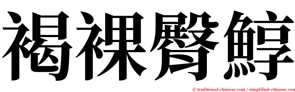 褐裸臀鯙 serif font