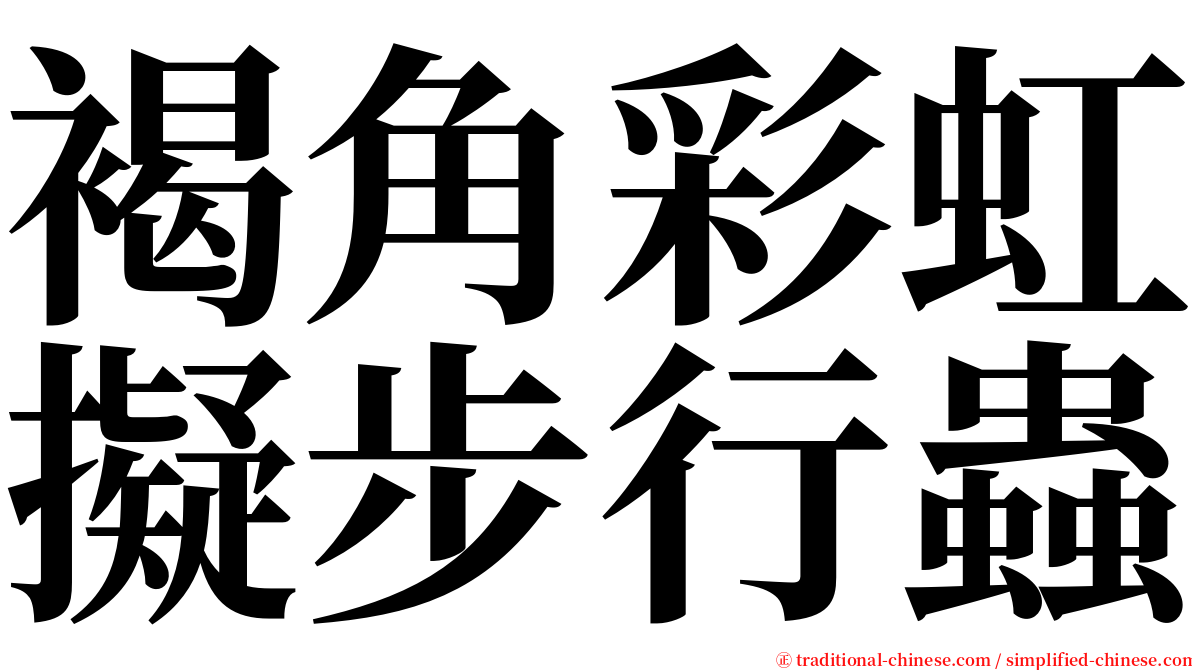 褐角彩虹擬步行蟲 serif font