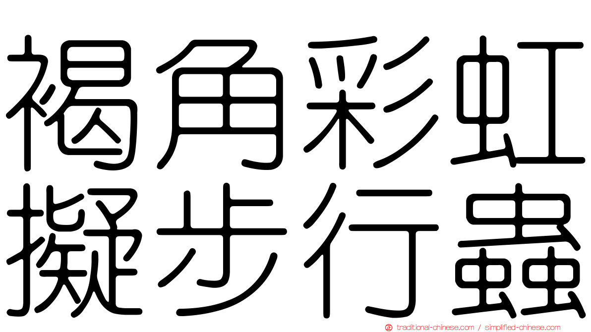 褐角彩虹擬步行蟲