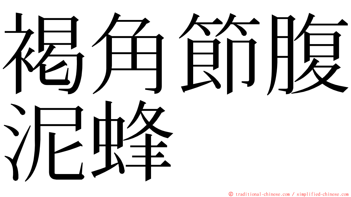 褐角節腹泥蜂 ming font