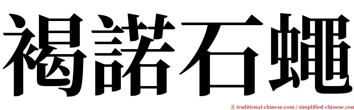 褐諾石蠅 serif font