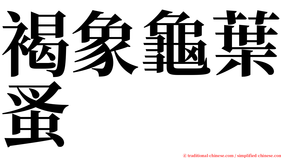 褐象龜葉蚤 serif font