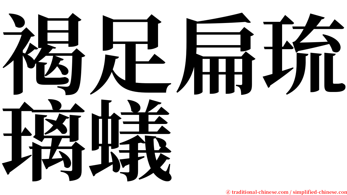 褐足扁琉璃蟻 serif font