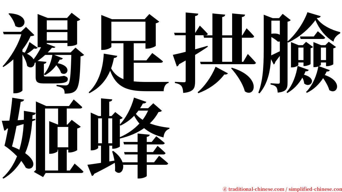 褐足拱臉姬蜂 serif font