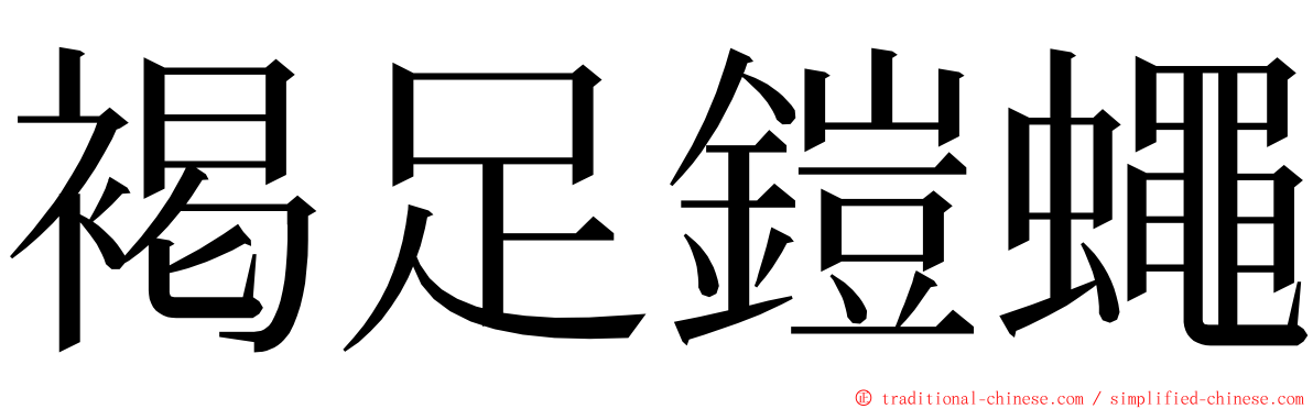 褐足鎧蠅 ming font