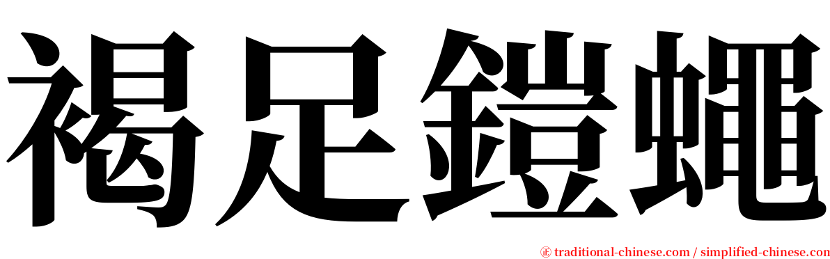 褐足鎧蠅 serif font