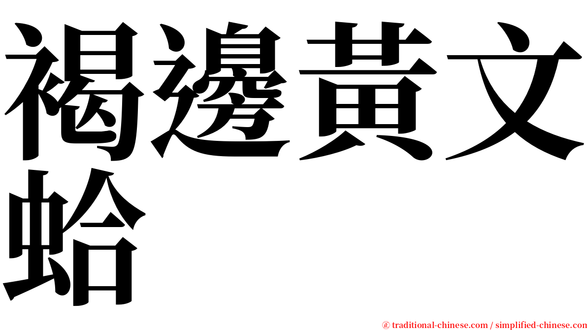 褐邊黃文蛤 serif font