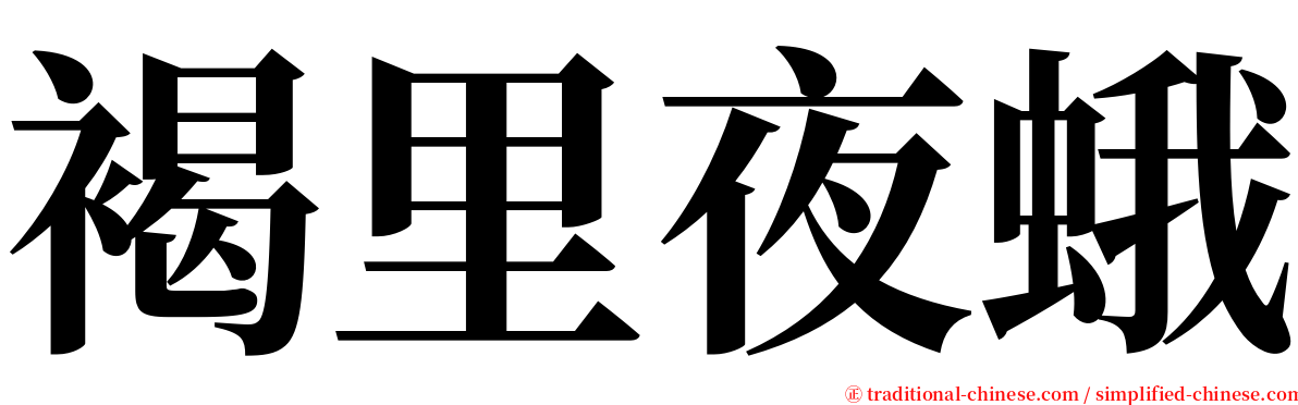 褐里夜蛾 serif font