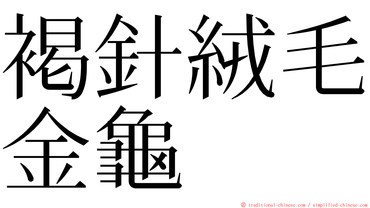 褐針絨毛金龜 ming font