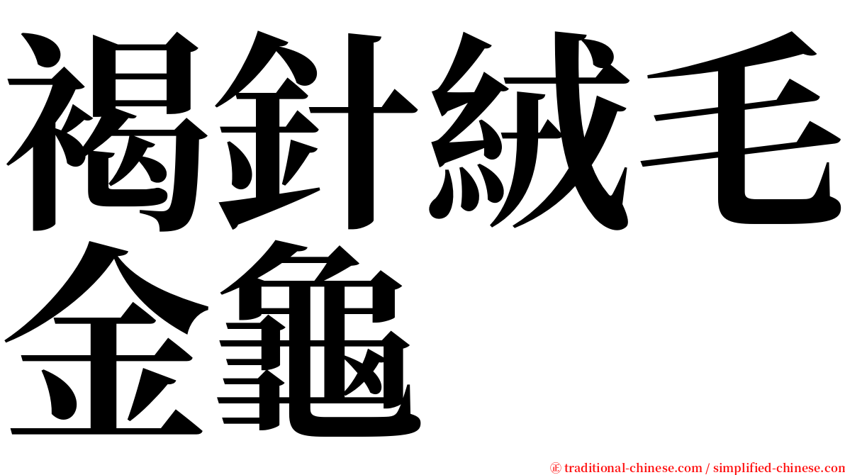 褐針絨毛金龜 serif font