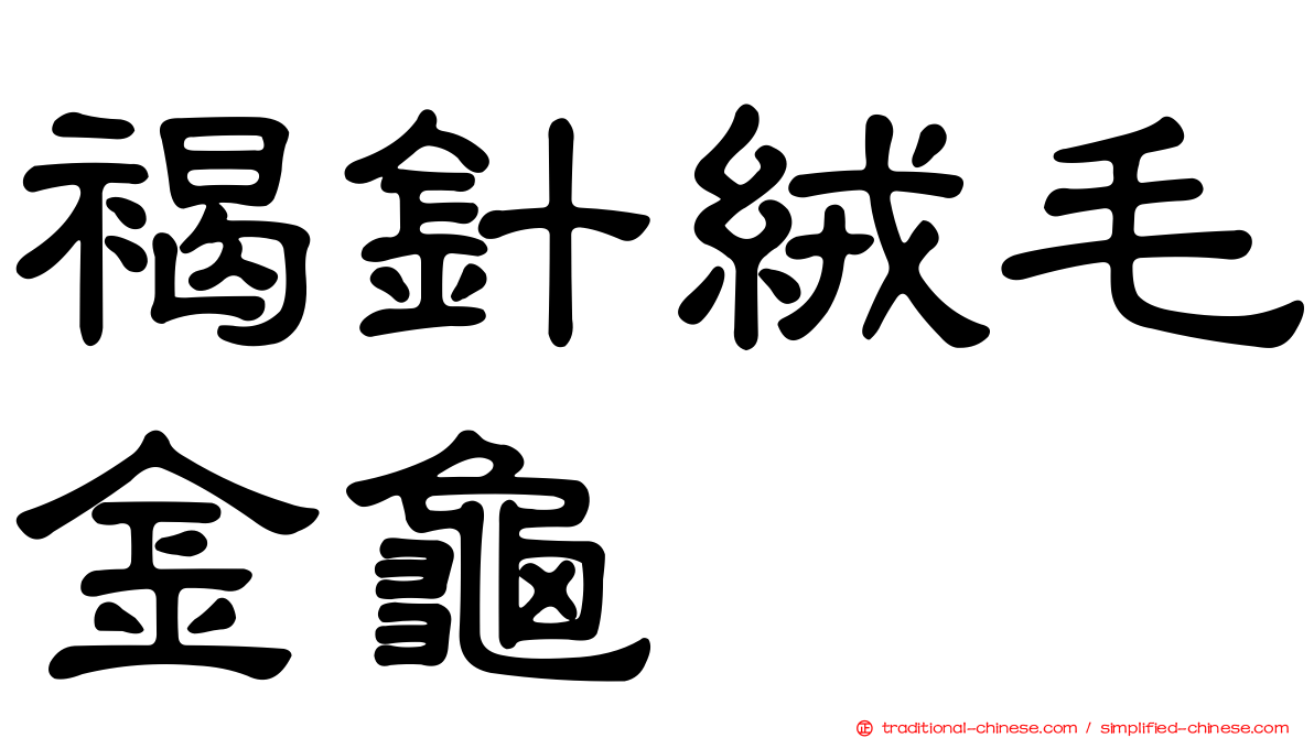 褐針絨毛金龜