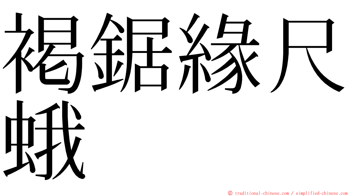 褐鋸緣尺蛾 ming font