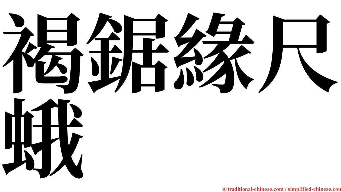 褐鋸緣尺蛾 serif font