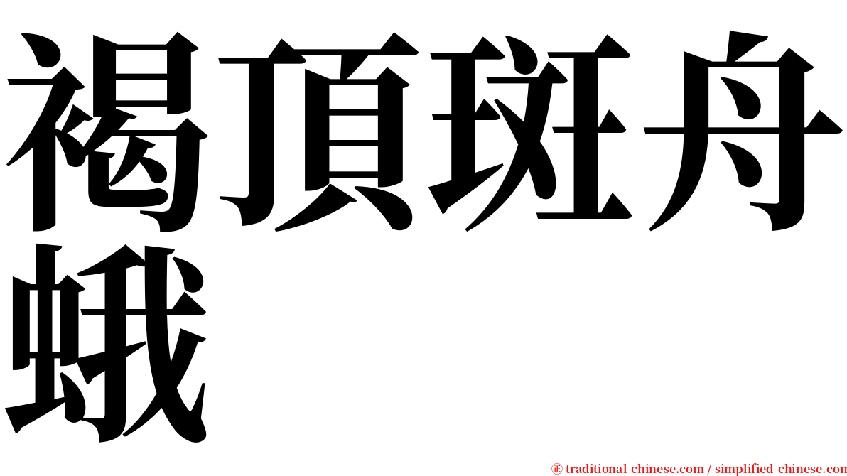 褐頂斑舟蛾 serif font