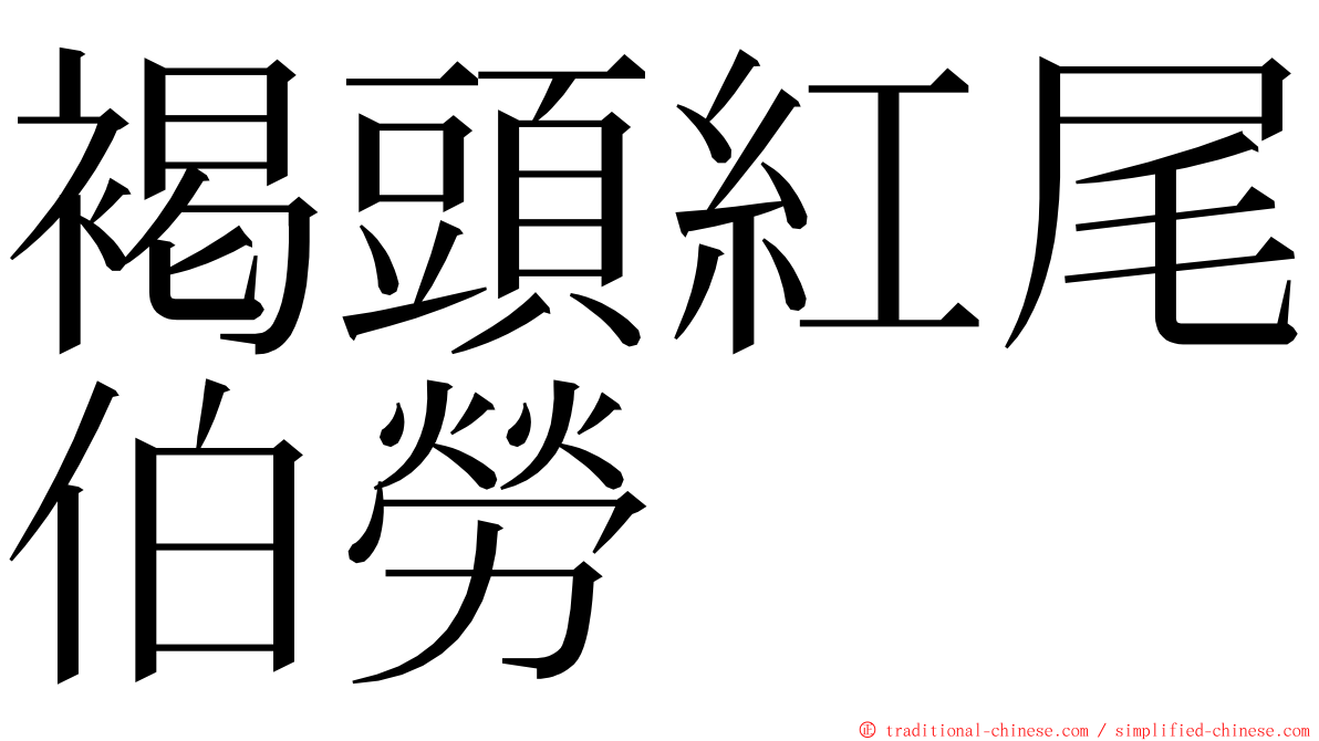 褐頭紅尾伯勞 ming font