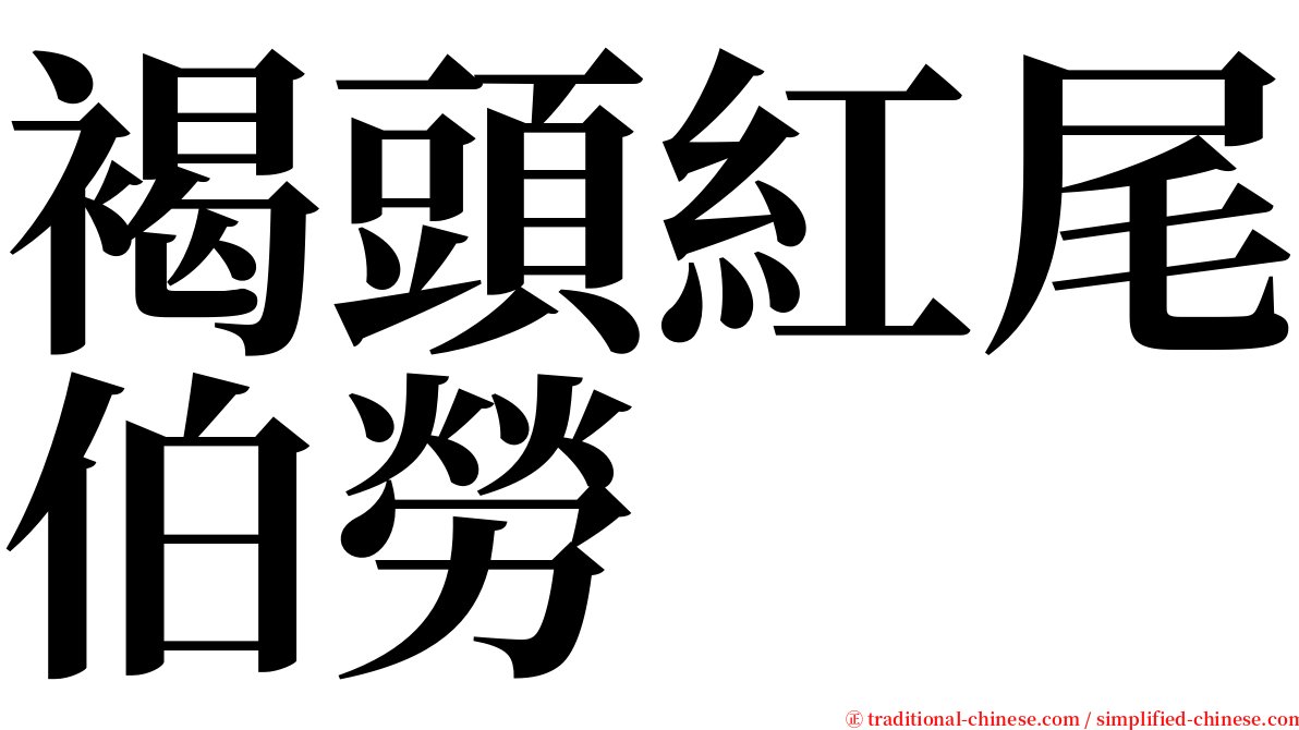 褐頭紅尾伯勞 serif font