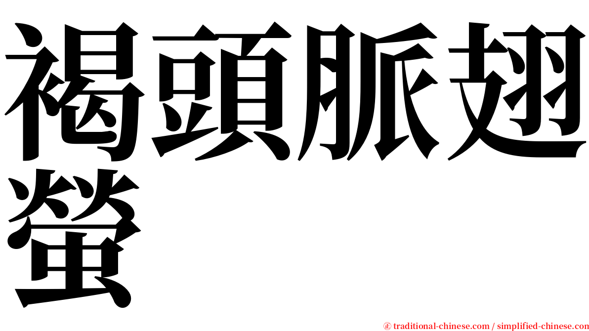 褐頭脈翅螢 serif font