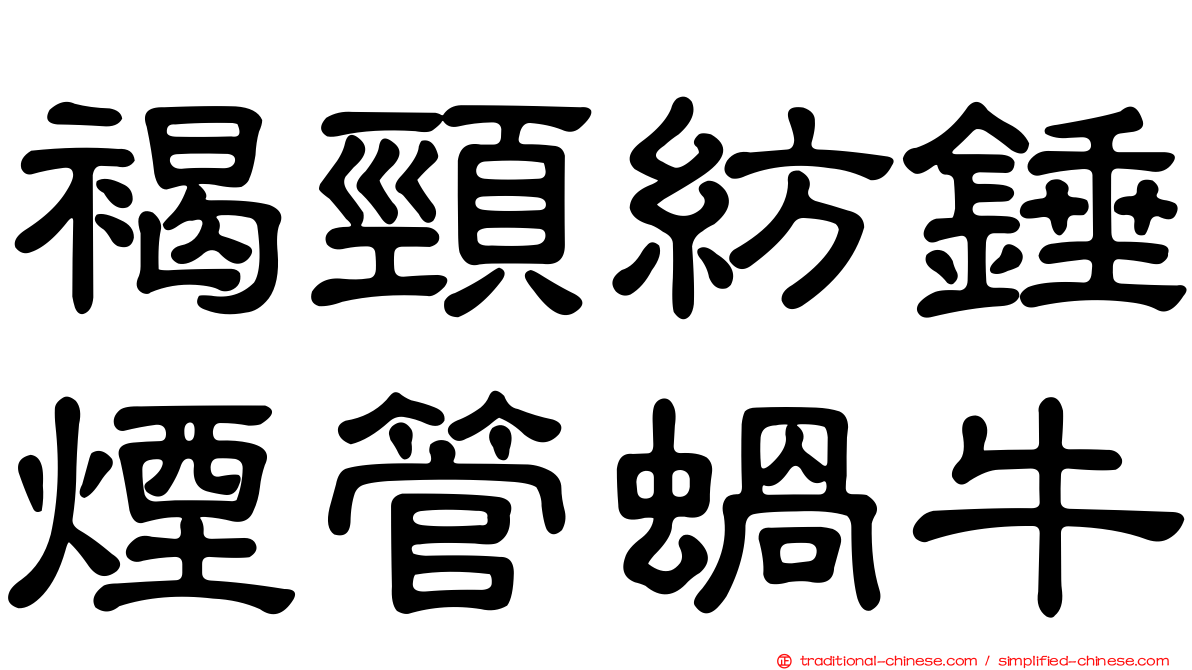 褐頸紡錘煙管蝸牛