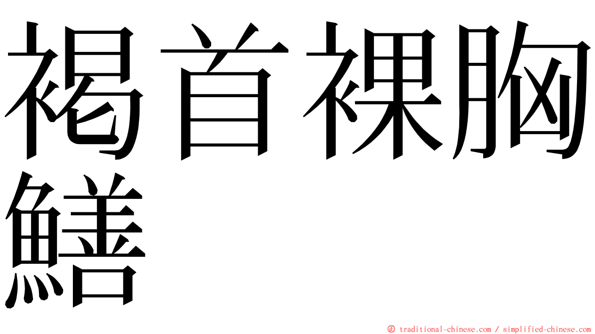 褐首裸胸鱔 ming font