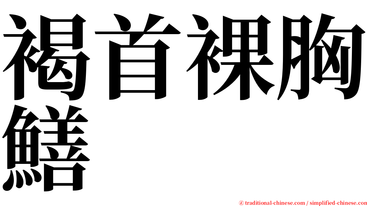 褐首裸胸鱔 serif font