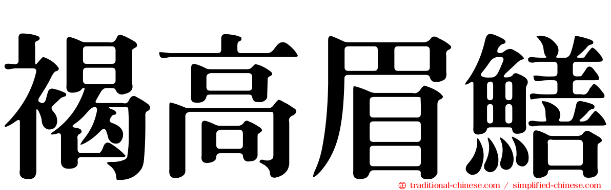 褐高眉鱔