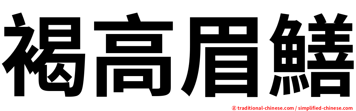 褐高眉鱔