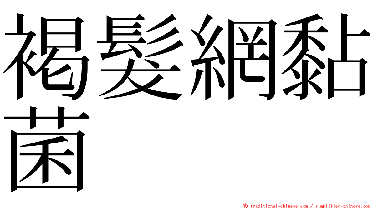 褐髮網黏菌 ming font