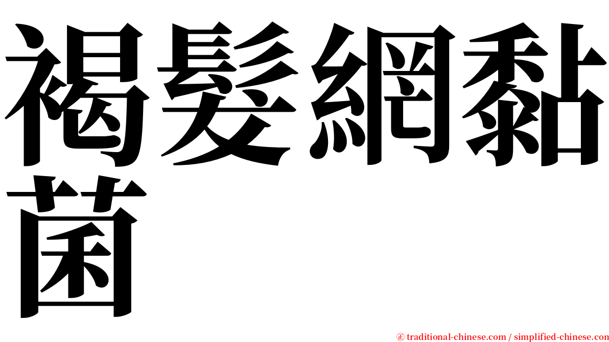 褐髮網黏菌 serif font