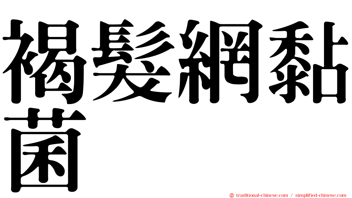 褐髮網黏菌