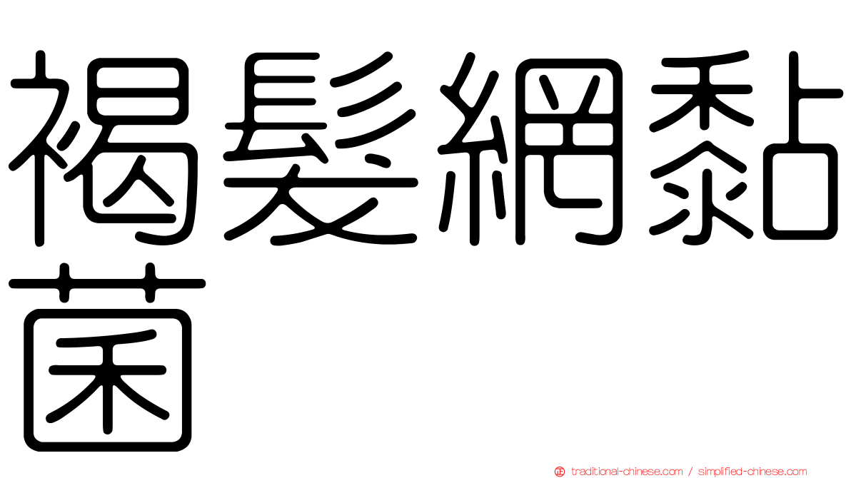 褐髮網黏菌