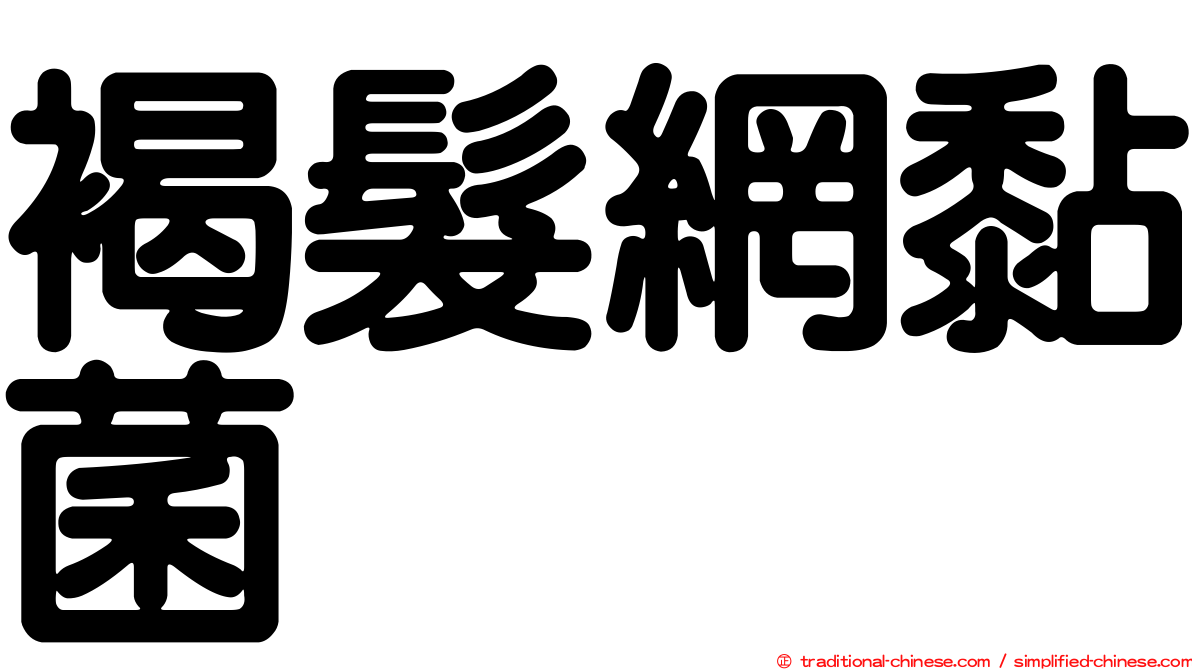 褐髮網黏菌