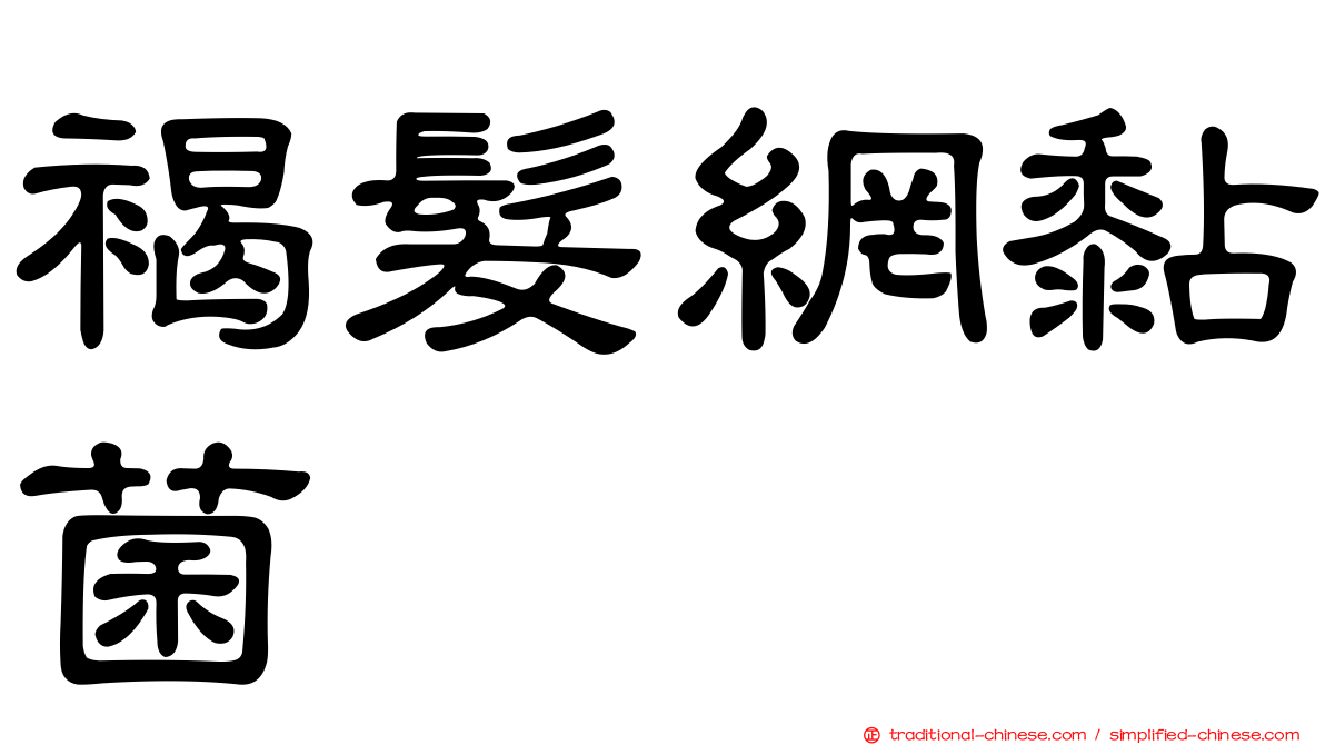 褐髮網黏菌