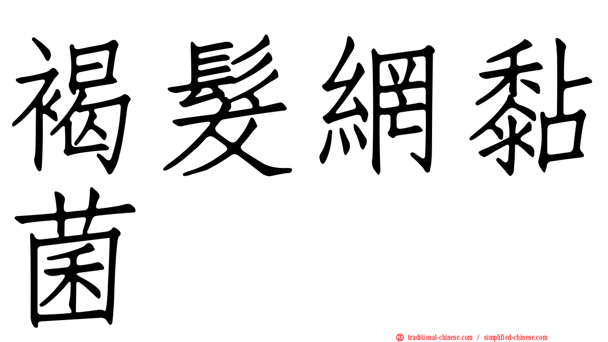 褐髮網黏菌